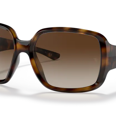 Ray-Ban Powderhorn RB4347 710/13 Havana