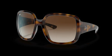 Ray-Ban Powderhorn RB4347 710/13 Havana