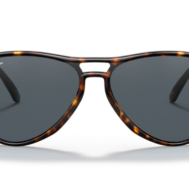 Ray-Ban Vagabond RB4355 902/R5 Havana