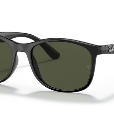 Ray-Ban RB4374 601/31 Black