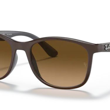 Ray-Ban RB4374 6600M2 Brown on Grey