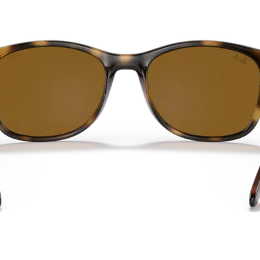Ray-Ban RB4374 710/33 Havana