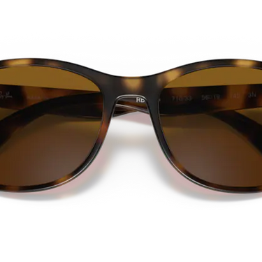 Ray-Ban RB4374 710/33 Havana
