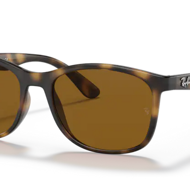 Ray-Ban RB4374 710/33 Havana