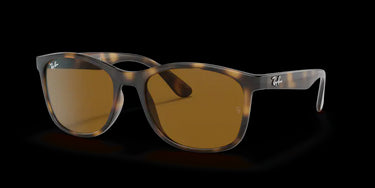 Ray-Ban RB4374 710/33 Havana