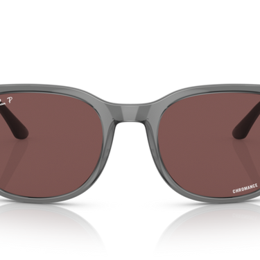Ray-Ban RB4386 6650AF Transparent Grey