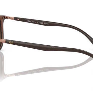 Ray-Ban RB4386 6652AN Transparent Brown