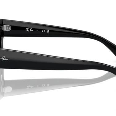 Ray-Ban RB4388 601/71 Black