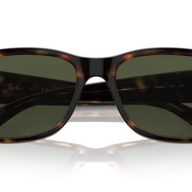 Ray-Ban RB4388 710/31 Havana