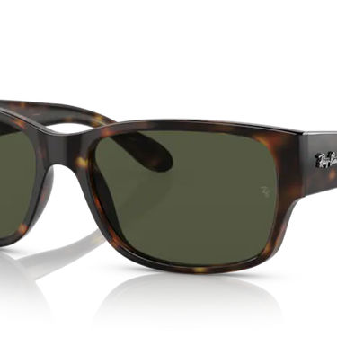 Ray-Ban RB4388 710/31 Havana