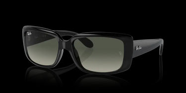Ray-Ban RB4389 601/71 Black