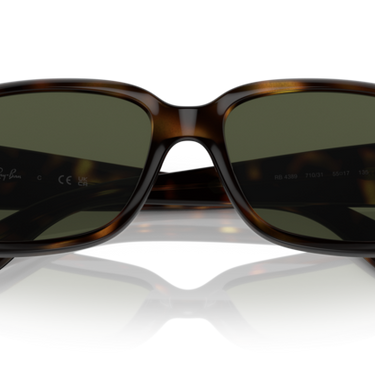 Ray-Ban RB4389 710/31 Havana