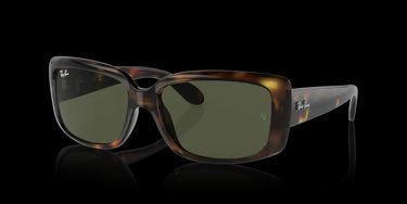 Ray-Ban RB4389 710/31 Havana