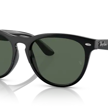 Ray-Ban Iris RB4471 662971 Black