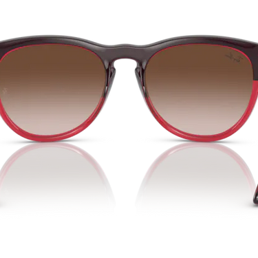 Ray-Ban Iris RB4471 663113 Grey on Transparent Red