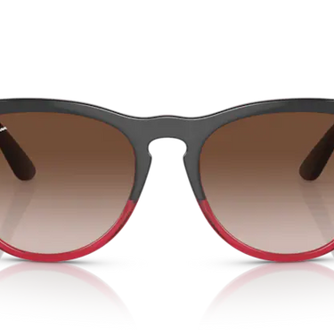 Ray-Ban Iris RB4471 663113 Grey on Transparent Red