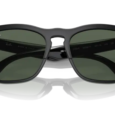 Ray-Ban Steve RB4487 662971 Black