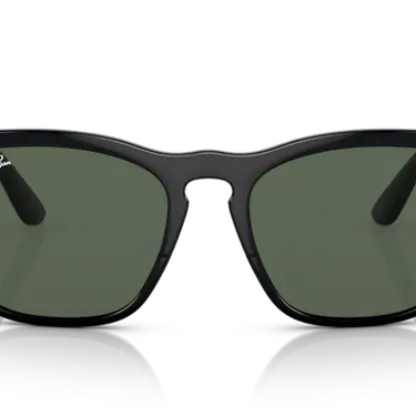 Ray-Ban Steve RB4487 662971 Black