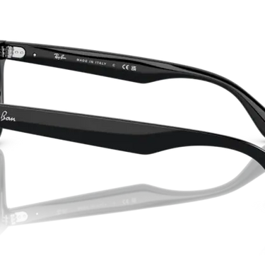 Ray-Ban Steve RB4487 662971 Black
