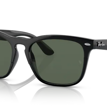 Ray-Ban Steve RB4487 662971 Black