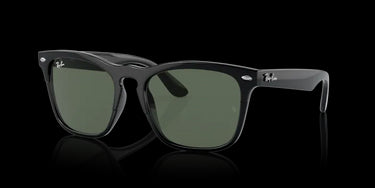 Ray-Ban Steve RB4487 662971 Black