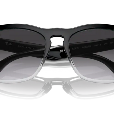 Ray-Ban Steve RB4487 66308G Black on Transparent