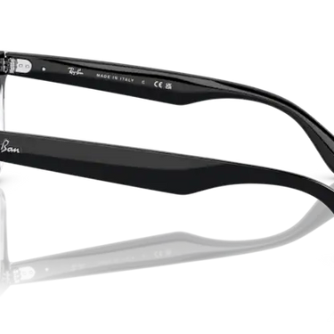 Ray-Ban Steve RB4487 66308G Black on Transparent