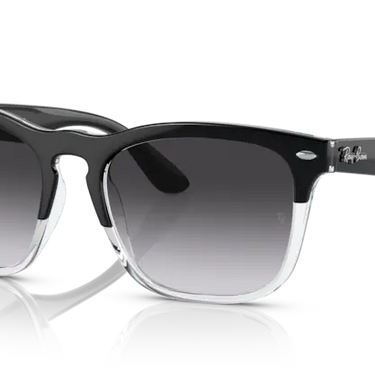 Ray-Ban Steve RB4487 66308G Black on Transparent