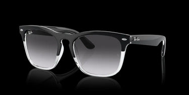 Ray-Ban Steve RB4487 66308G Black on Transparent