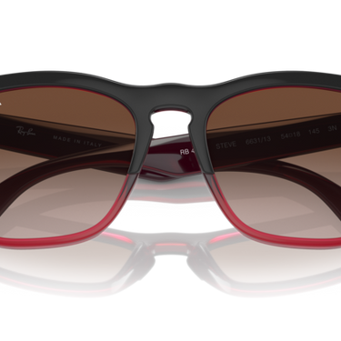 Ray-Ban Steve RB4487 663113 Grey on Transparent Red