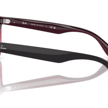 Ray-Ban Steve RB4487 663113 Grey on Transparent Red