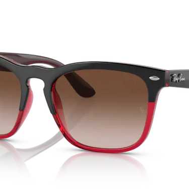 Ray-Ban Steve RB4487 663113 Grey on Transparent Red