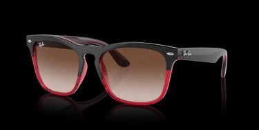 Ray-Ban Steve RB4487 663113 Grey on Transparent Red