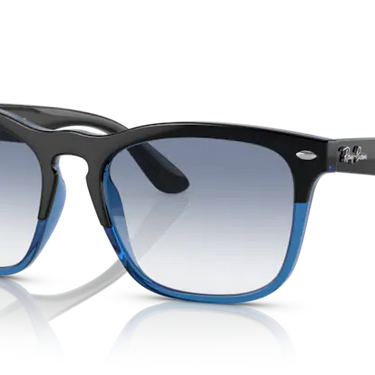 Ray-Ban Steve RB4487 663219 Black on Blue