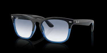 Ray-Ban Steve RB4487 663219 Black on Blue