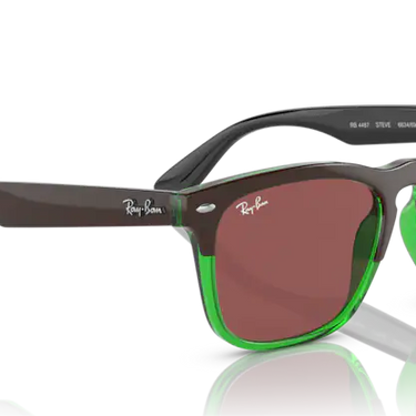 Ray-Ban Steve RB4487 663469 Dark Brown on Transparent Green