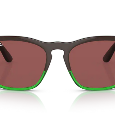 Ray-Ban Steve RB4487 663469 Dark Brown on Transparent Green