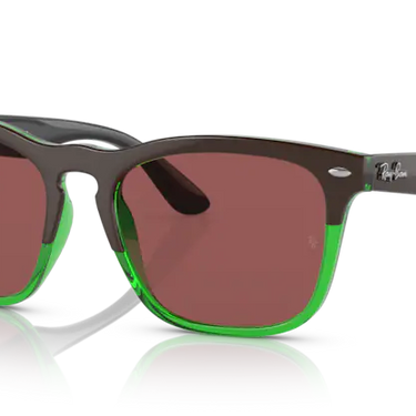 Ray-Ban Steve RB4487 663469 Dark Brown on Transparent Green