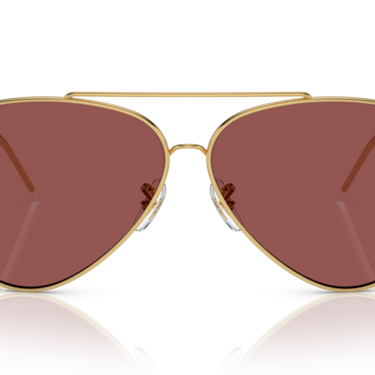 Ray-Ban Aviator Reverse RBR0101S 001/69 Arista Goud