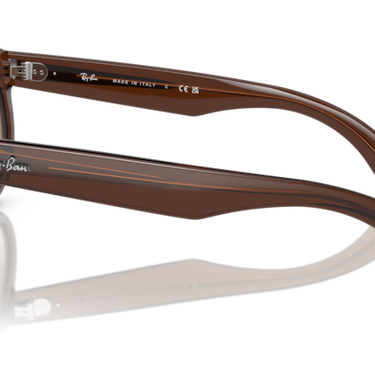 Ray-Ban Boyfriend Reverse RBR0501S 6709CB Transparant Bruin