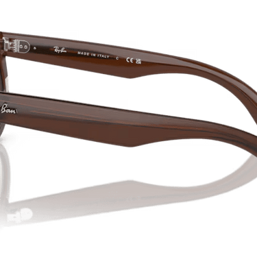 Ray-Ban Wayfarer reverse RBR0502S  6709CB - Transparant bruin