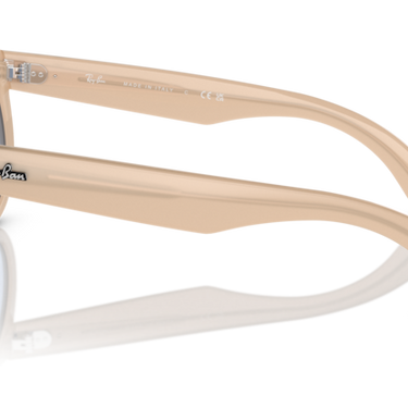 Ray-Ban Wayfarer Reverse RBR0502S 678072  Opaal Beige & Honing