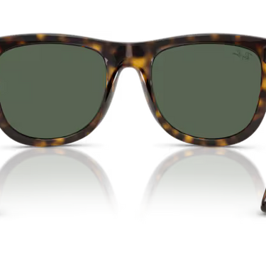 Ray-Ban Wayfarer Reverse RBR0502S 6790VR - Donker Havana