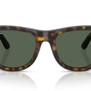 Ray-Ban Wayfarer Reverse RBR0502S 6790VR - Donker Havana