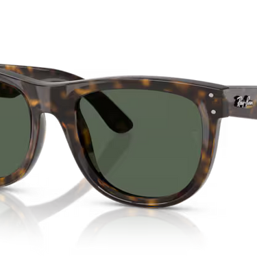 Ray-Ban Wayfarer Reverse RBR0502S 6790VR - Donker Havana
