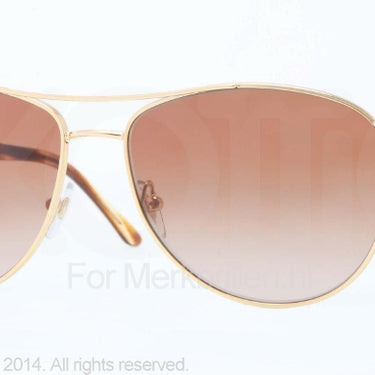Versace Zonnebril VE2145 Gold brown gradient