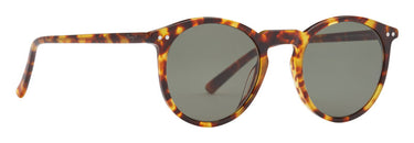 Prego 10027-03 Tortoise