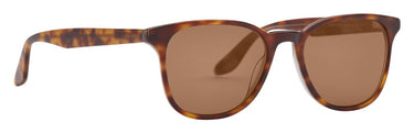 Prego 10034-01 Tortoise