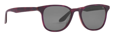 Prego 10034-02 Purple Tortoise