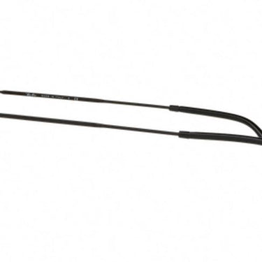 Ray-Ban RB2447 11579U Spotted Black Havana